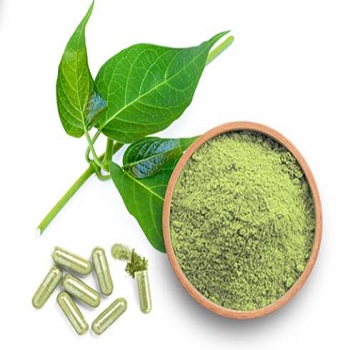 Gymnema Extract